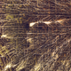Illustration for article titled These Maps Reveal How Cities Will Erode Over Time
